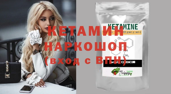 шишки Верхний Тагил