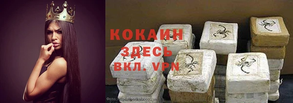 шишки Верхний Тагил