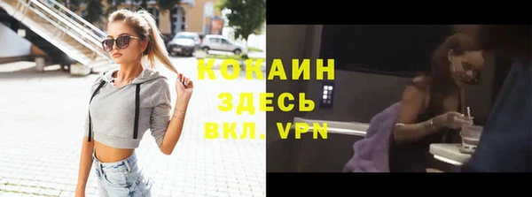 шишки Верхний Тагил