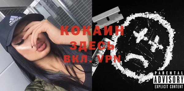 шишки Верхний Тагил