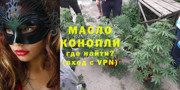 шишки Верхний Тагил