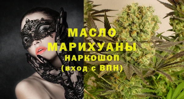 шишки Верхний Тагил