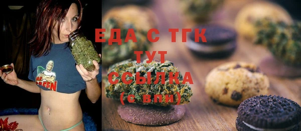 шишки Верхний Тагил